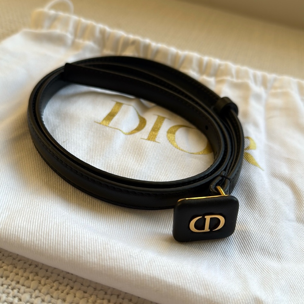 Dior Taupe Bobby Box Gold Hardware Belt Black